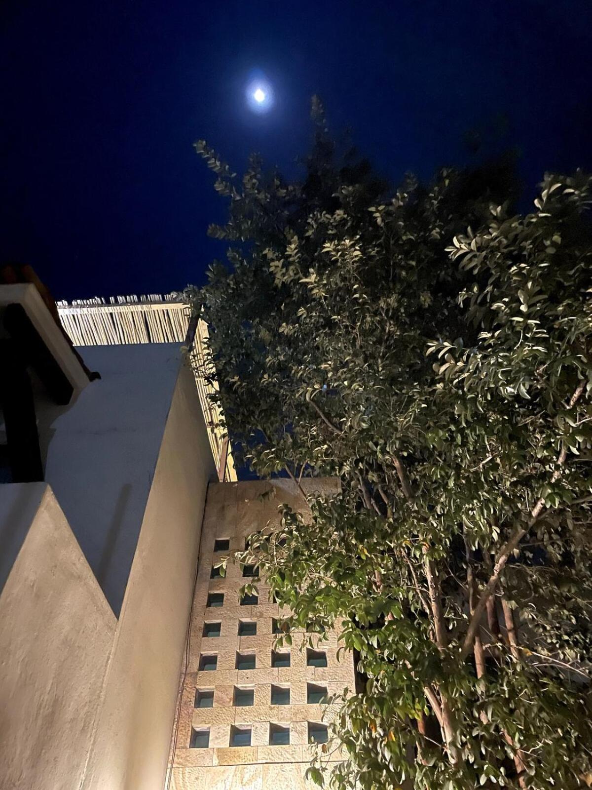 Вилла Casa Colibri Oaxaca Con Jacuzzi En Terraza Santa Maria Atzompa Экстерьер фото
